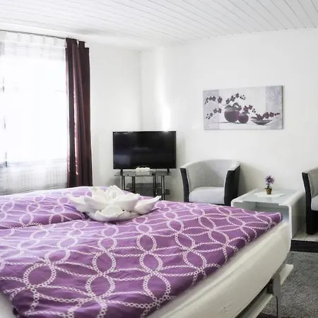 In Innenstadtnähe Apartment