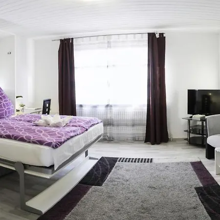 Apartment In Innenstadtnähe Darmstadt